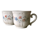 Lot de 2 tasses Arcopal