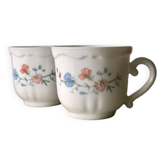 Lot de 2 tasses Arcopal