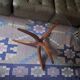 Mid century Danish teak coffee table with circular glass top, 1960s