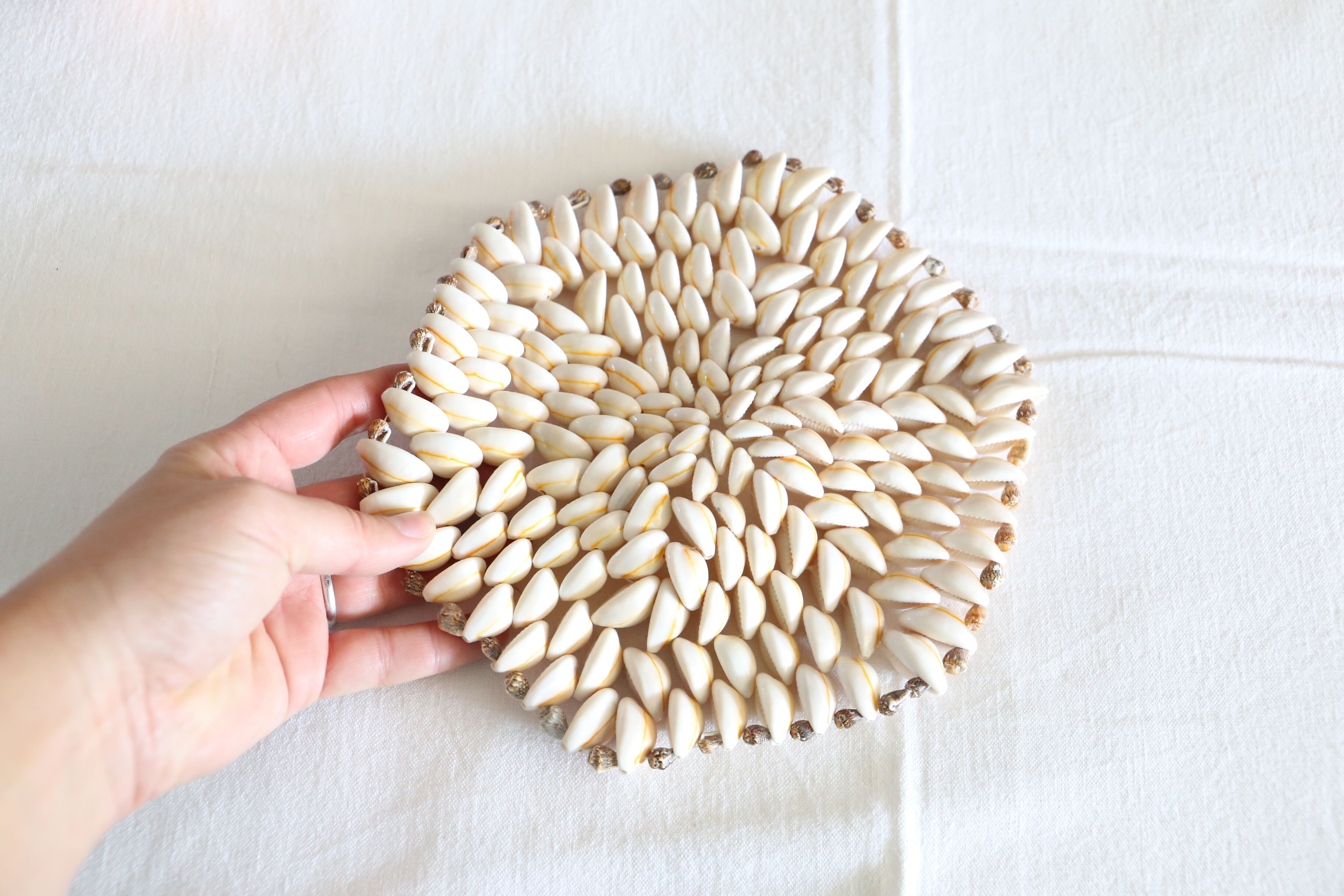 Seashell table mat