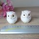 Vintage japan white and pink ceramic owl salt and pepper shaker set