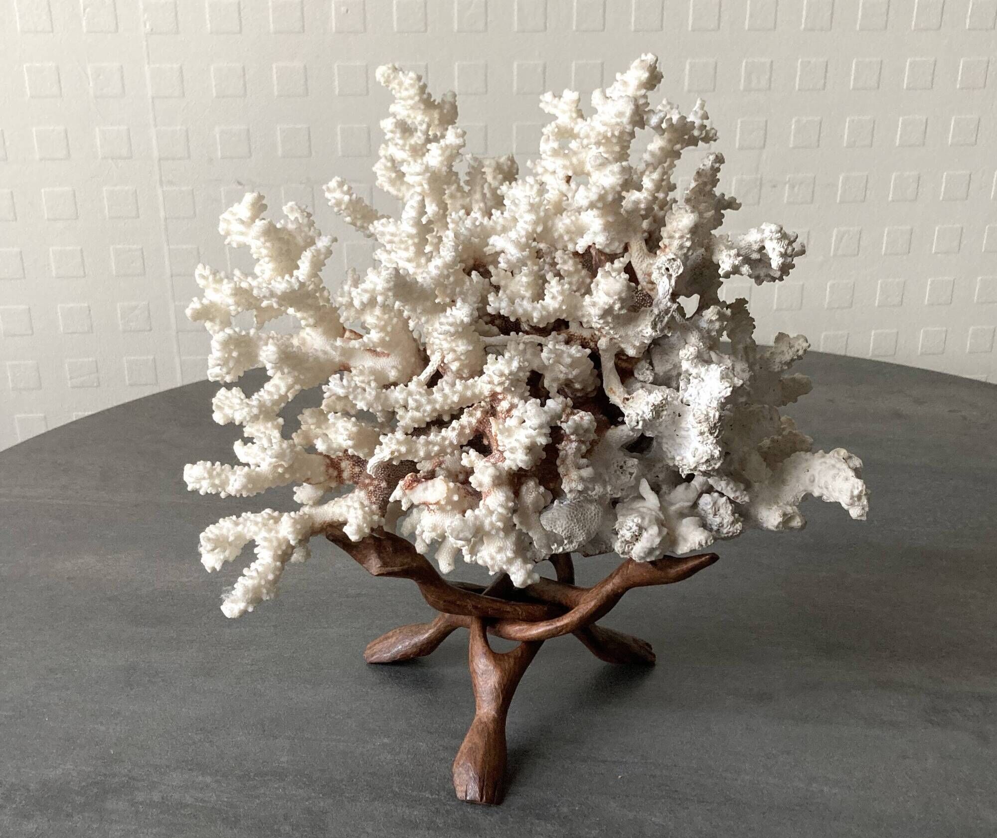 Corail blanc grand modèle 1960 sur bois sculpté