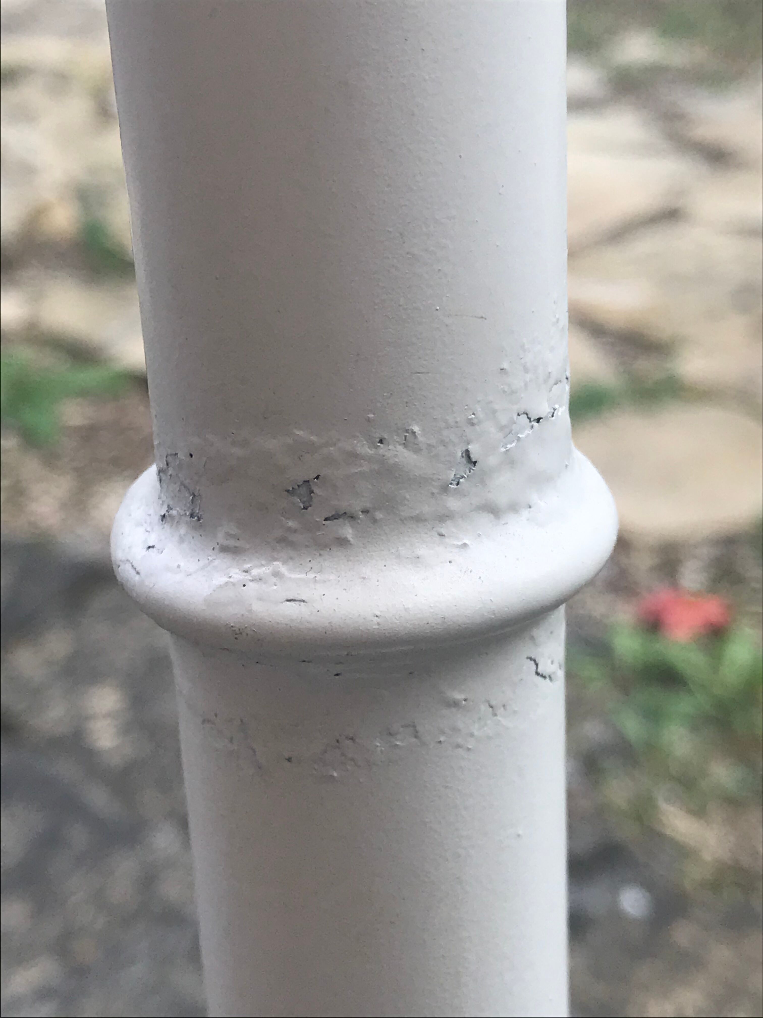 Palm lamppost by Sergio Terzani