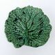 Malicorne Cabbage Barbotine Ceramic Dish Plate Signed Jules Moreau