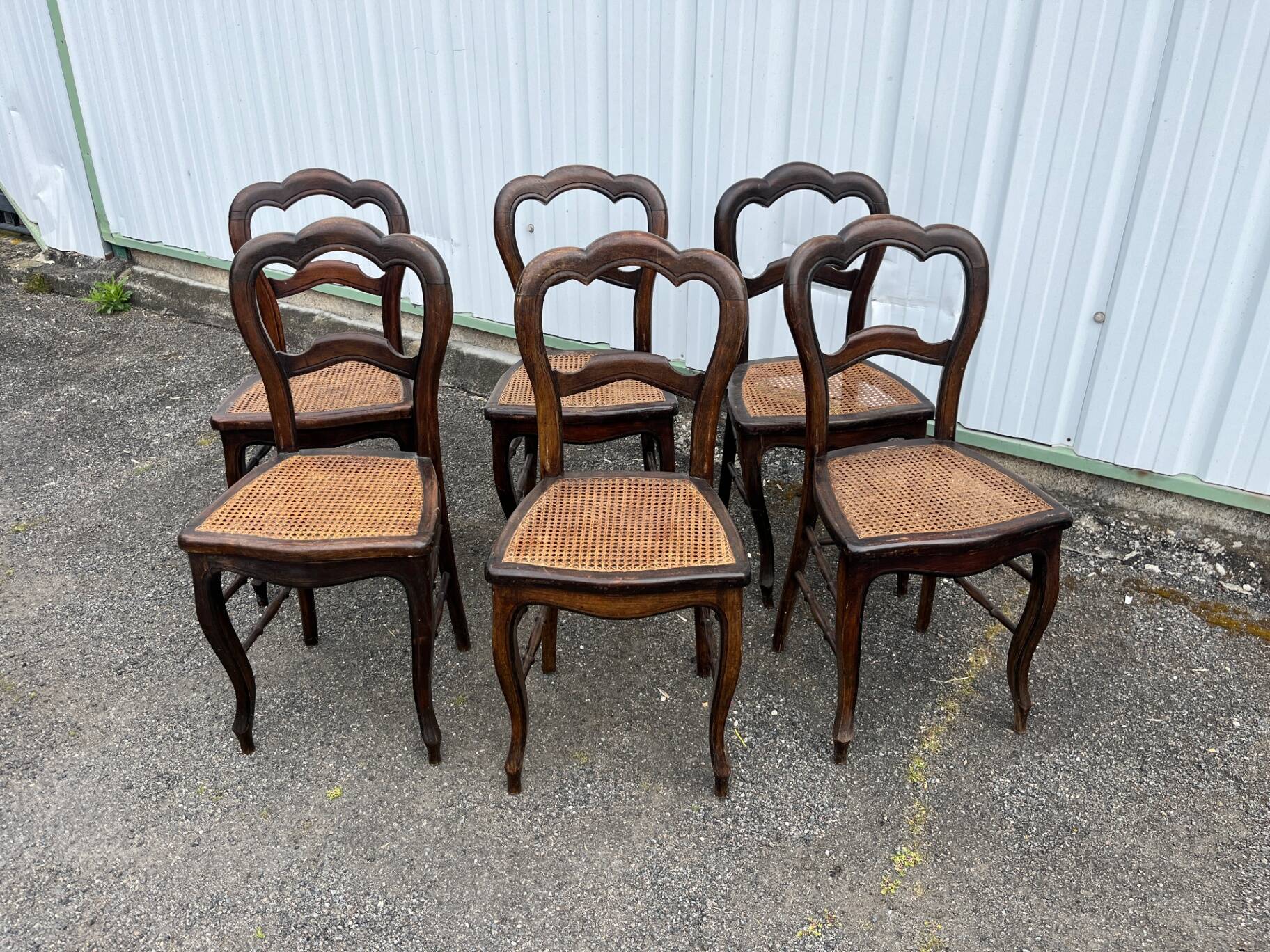 Série de 6 chaises à dossier trilobé de style Louis-Philippe