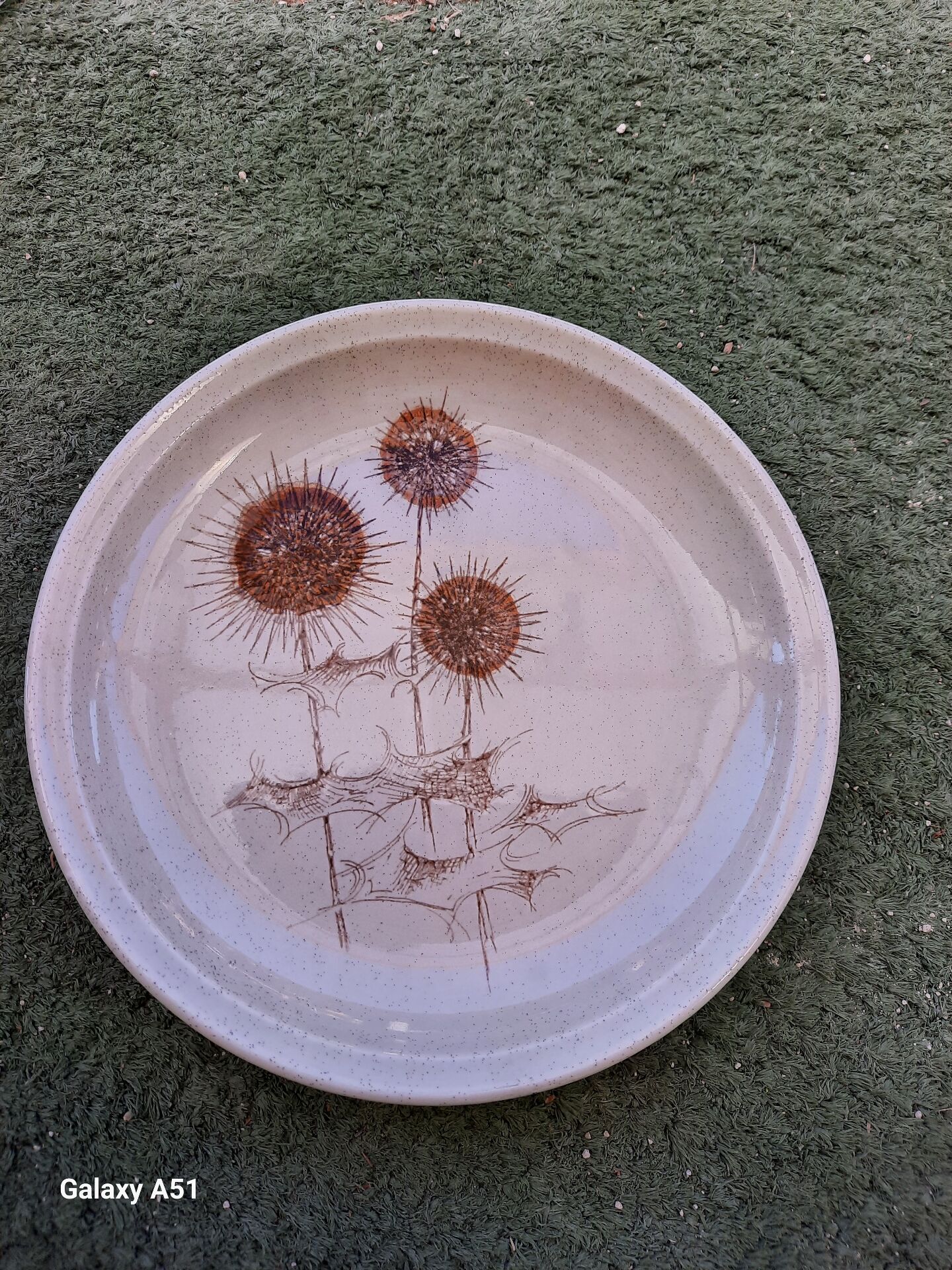 Assiette Sarreguemines 