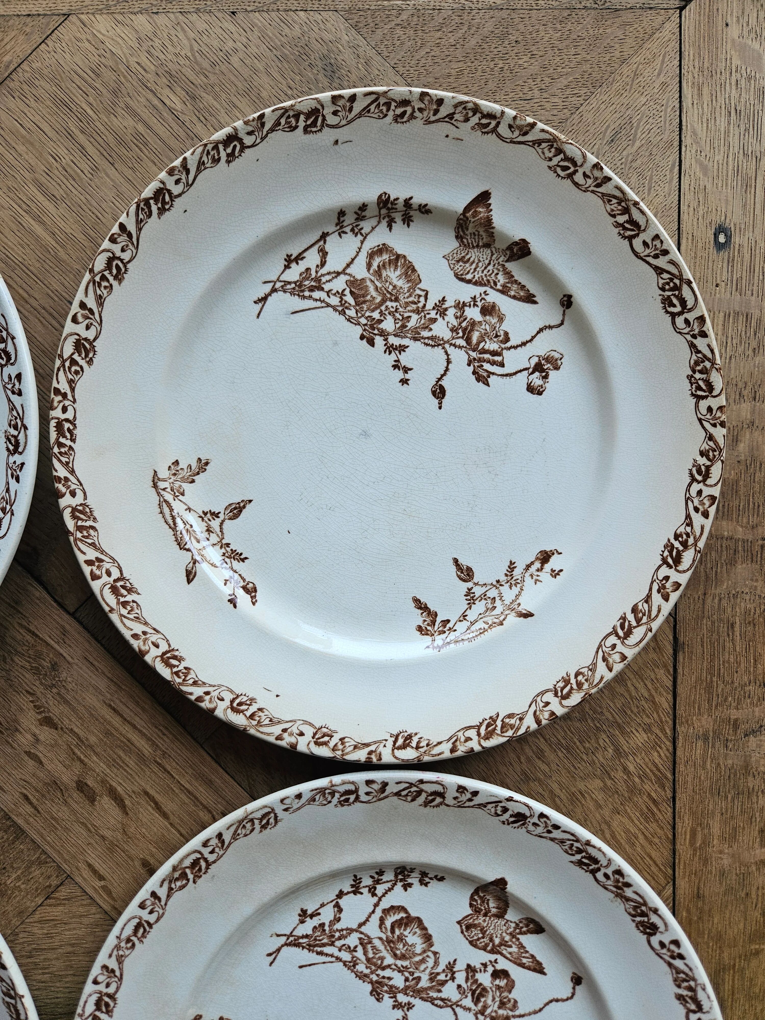 Flat plates, ironstone, poppies