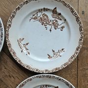 Flat plates, ironstone, poppies