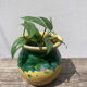 Cache pot vernissé vert et jaune Poterie de Saint Uze début XXe