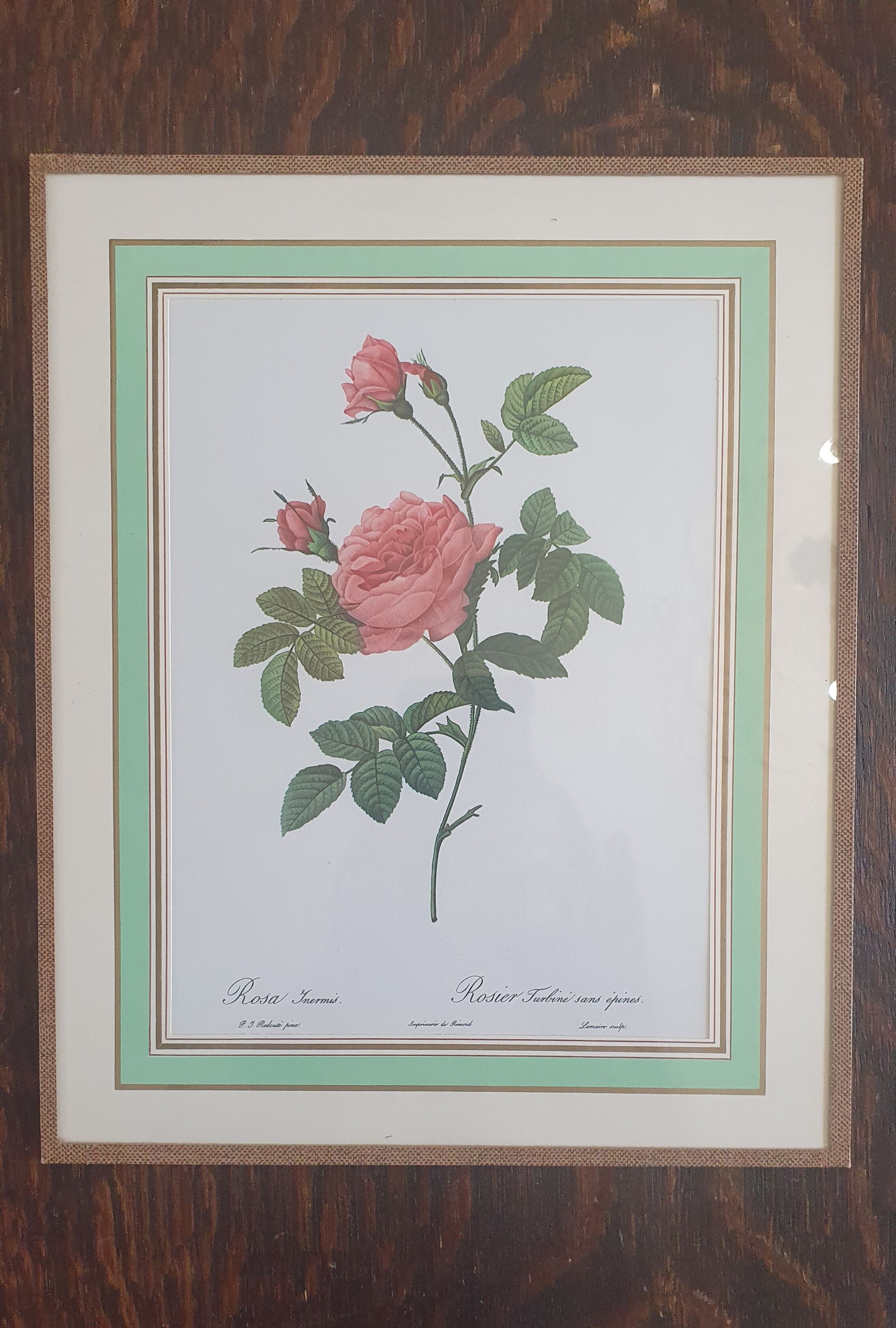 Set of 4 prints after P J Redoute