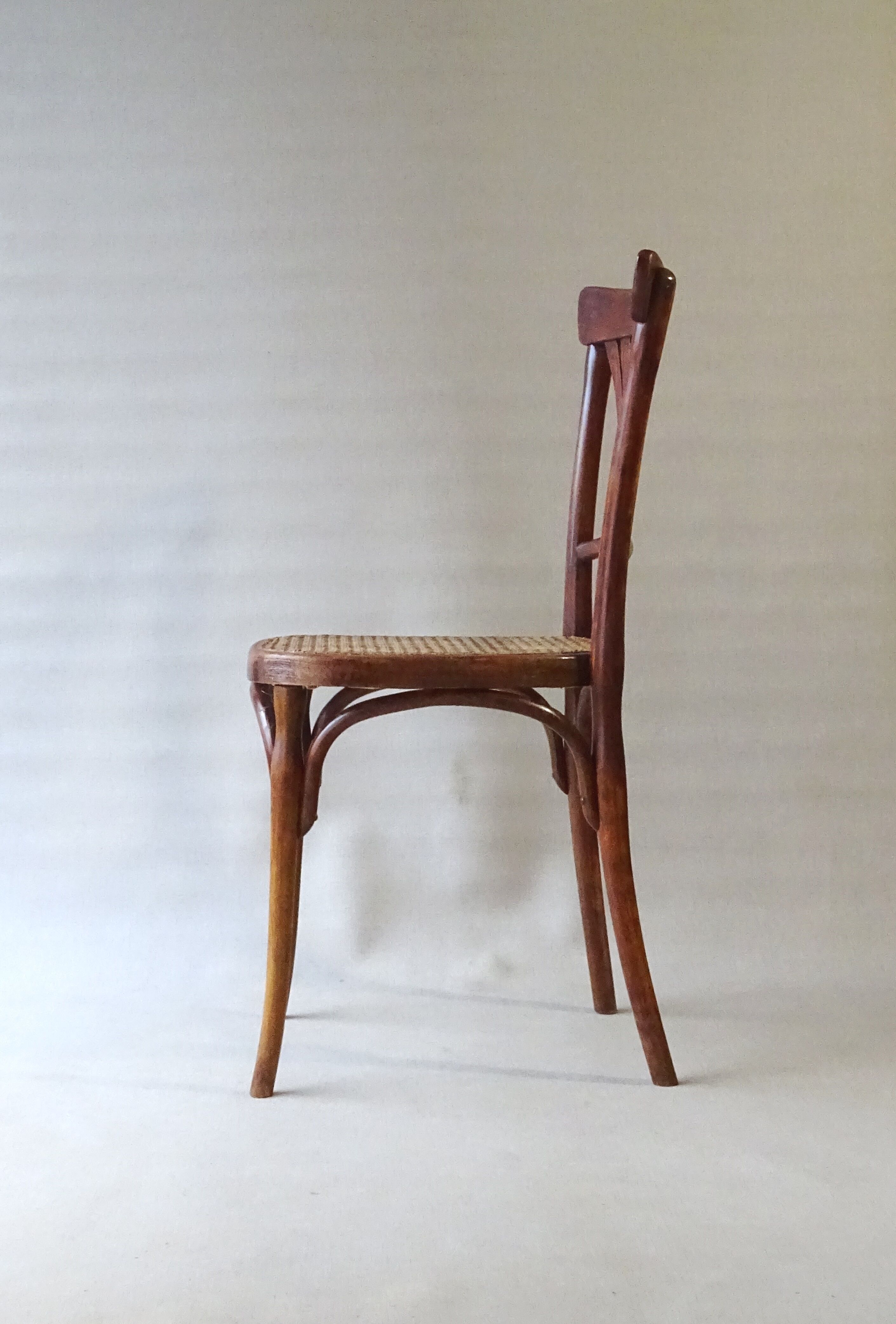 Two bistro chairs kohn n°196 in palmette, circa 1906, tanned