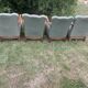 Antique armchairs