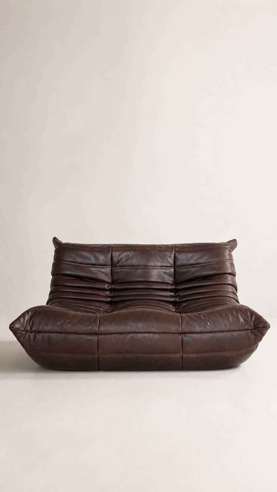 Set 2 canapés 2 places  michel ducaroy / ligne roset cuir marron