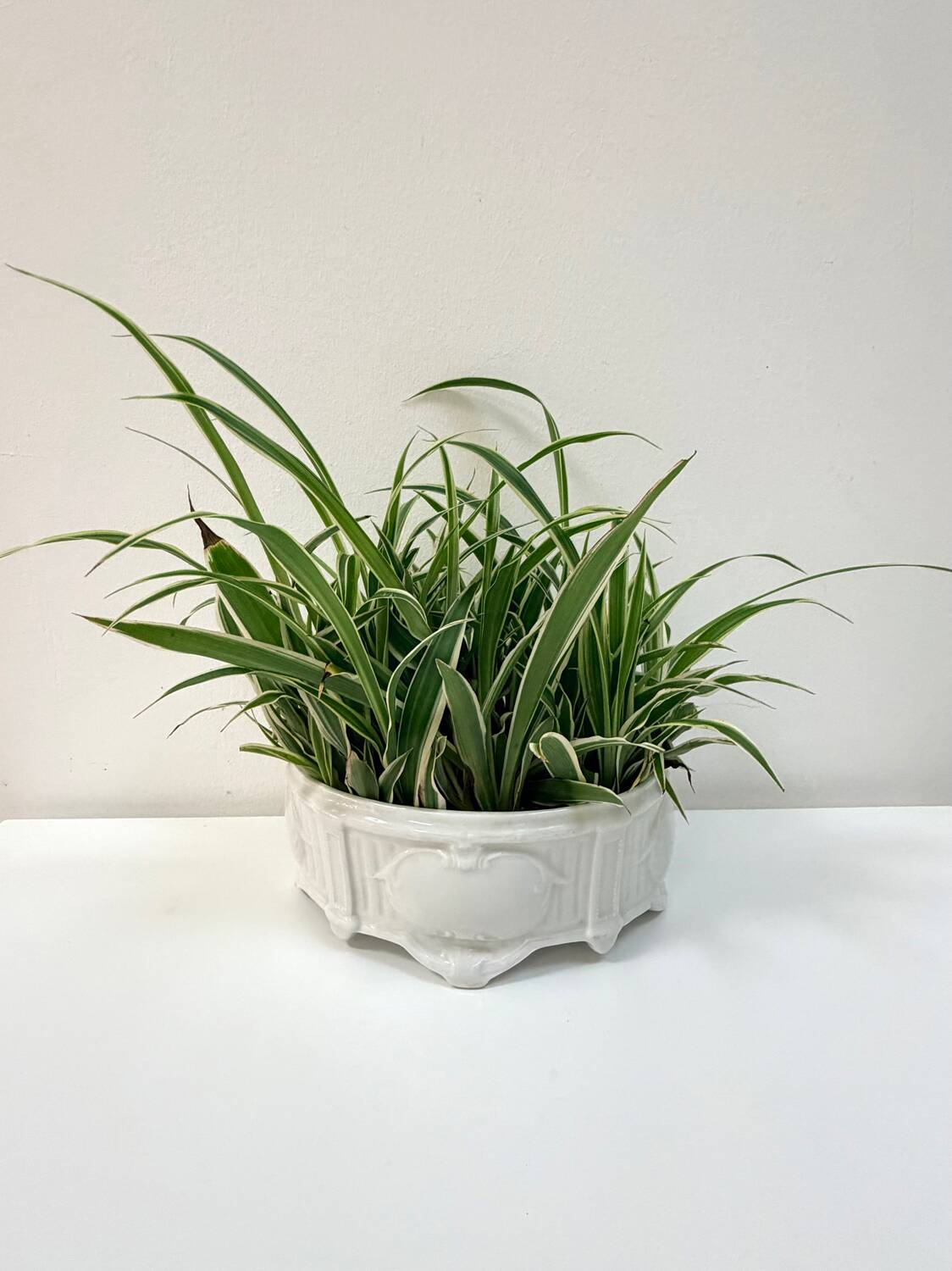 Ashtray / Flower pot in BH Limoges porcelain