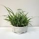 Ashtray / Flower pot in BH Limoges porcelain