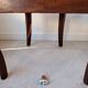 Pair of mahogany gondola chairs – Empire style – 20th century, restored
