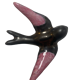 Wall swallow