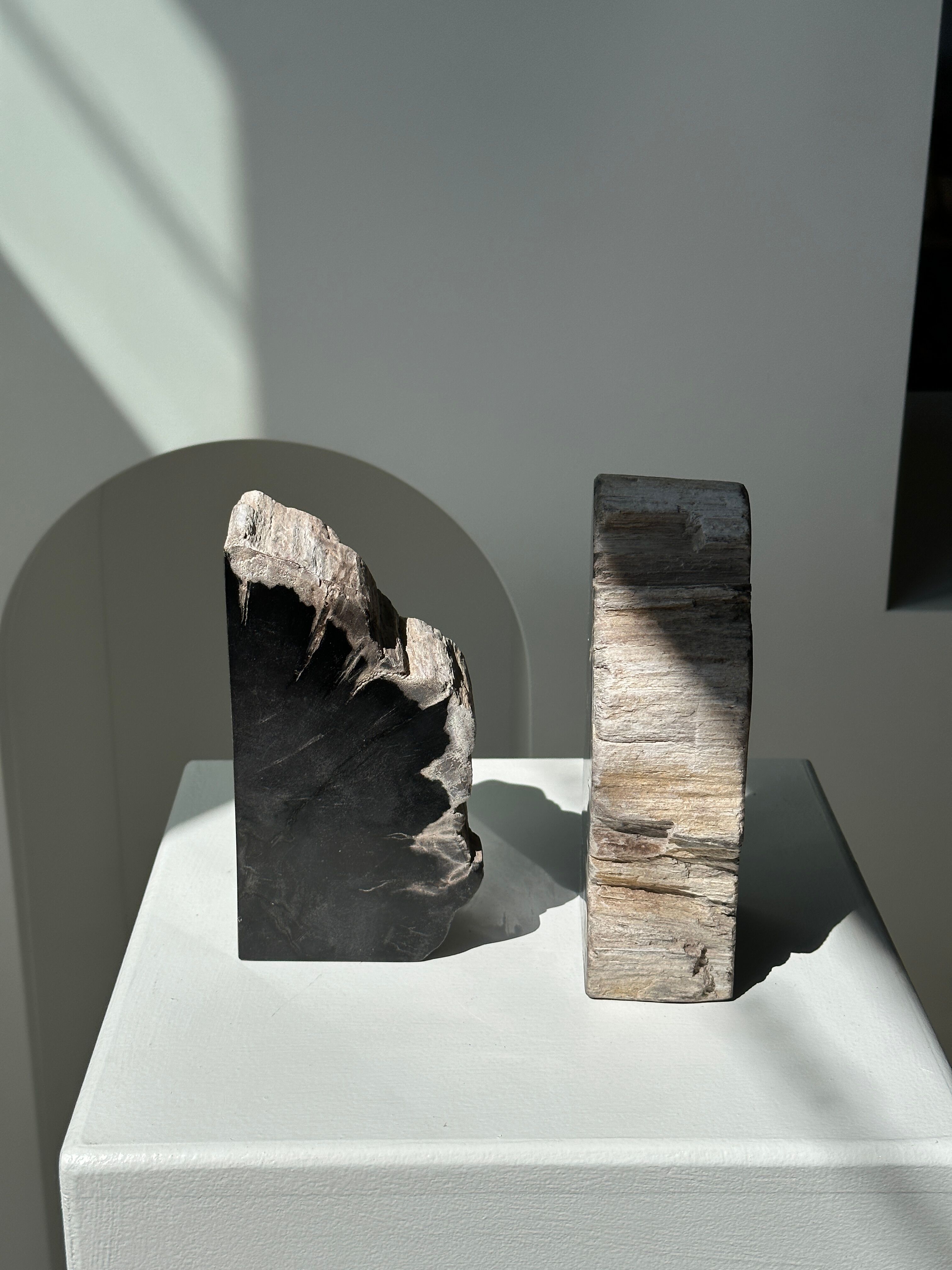 Black petrified wood bookend H17 L17 P6