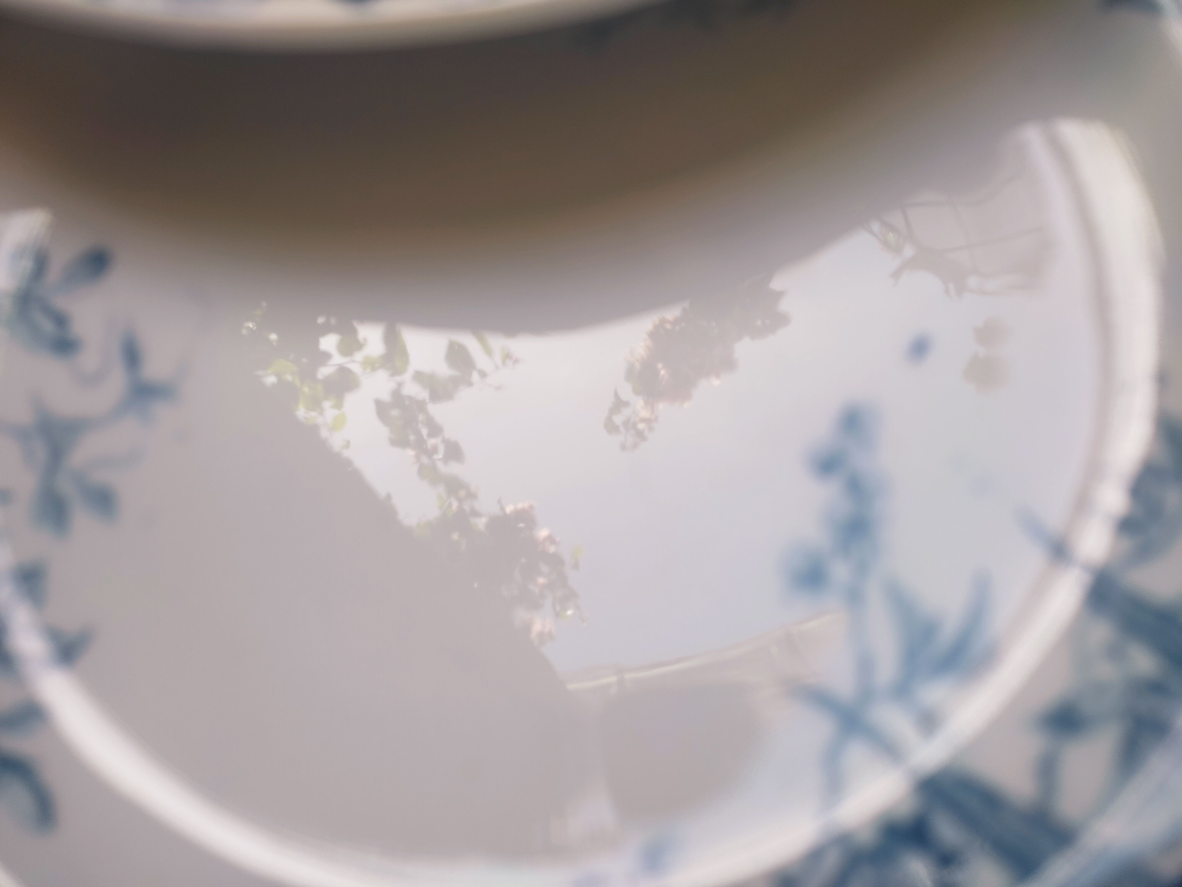 7 plates in earthenware with bird motifs by Lunéville