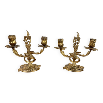 Pair of Louis XV rocaille candelabra in gilded bronze with two candle arms circa 1850