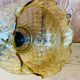 Vintage striated amber glass pendant lamp