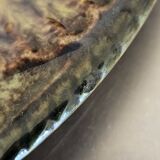 7 assiettes à huitres, vintage Vallauris Marius Giuge.