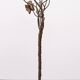 Magic Bronze Tree Floor lamp Italy 1970s