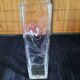 Small square glass soliflore vase - Floral iris decoration - H 19 cm