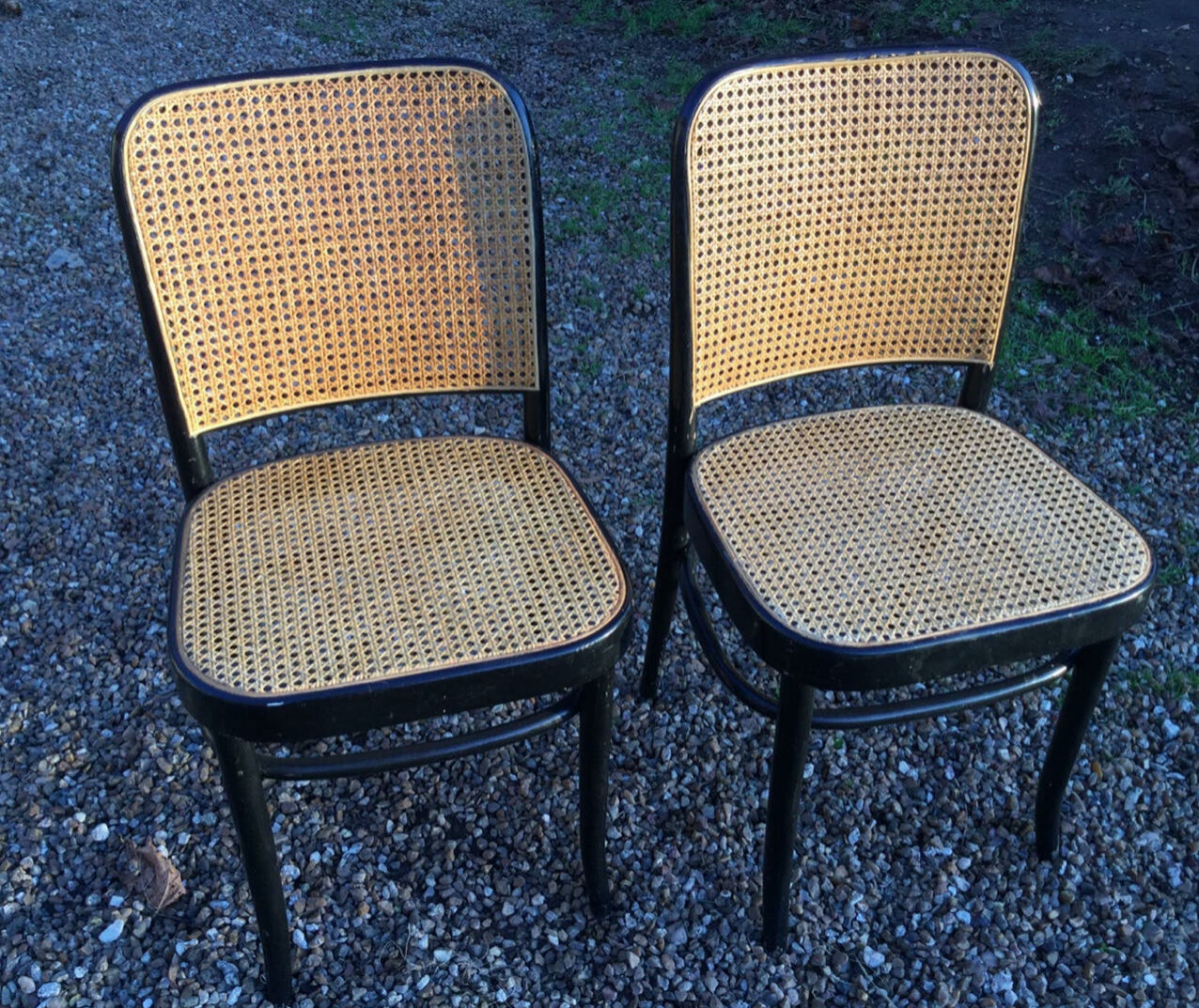 Pair of chairs Thonet 811