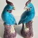 Pair of phenix birds chinese porcelain early 20th century