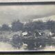 Old photograph of two teams of oxen near a pond