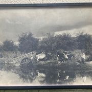 Old photograph of two teams of oxen near a pond