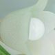 Appliques murales en forme de tulipe et feuillage