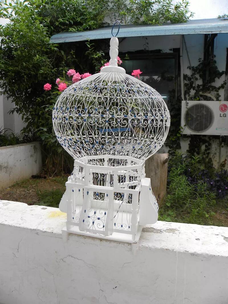 Decorative filigree birdcage Mediterranean charm