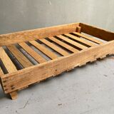 Market gardener tray