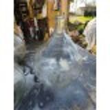 Set of 5 Antique Glass Ladies' Jeannes