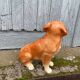 vintage Kingston Pottery Angleterre Chien.