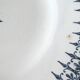 Set of 6 dinner plates of St. Amand, blue decoration
