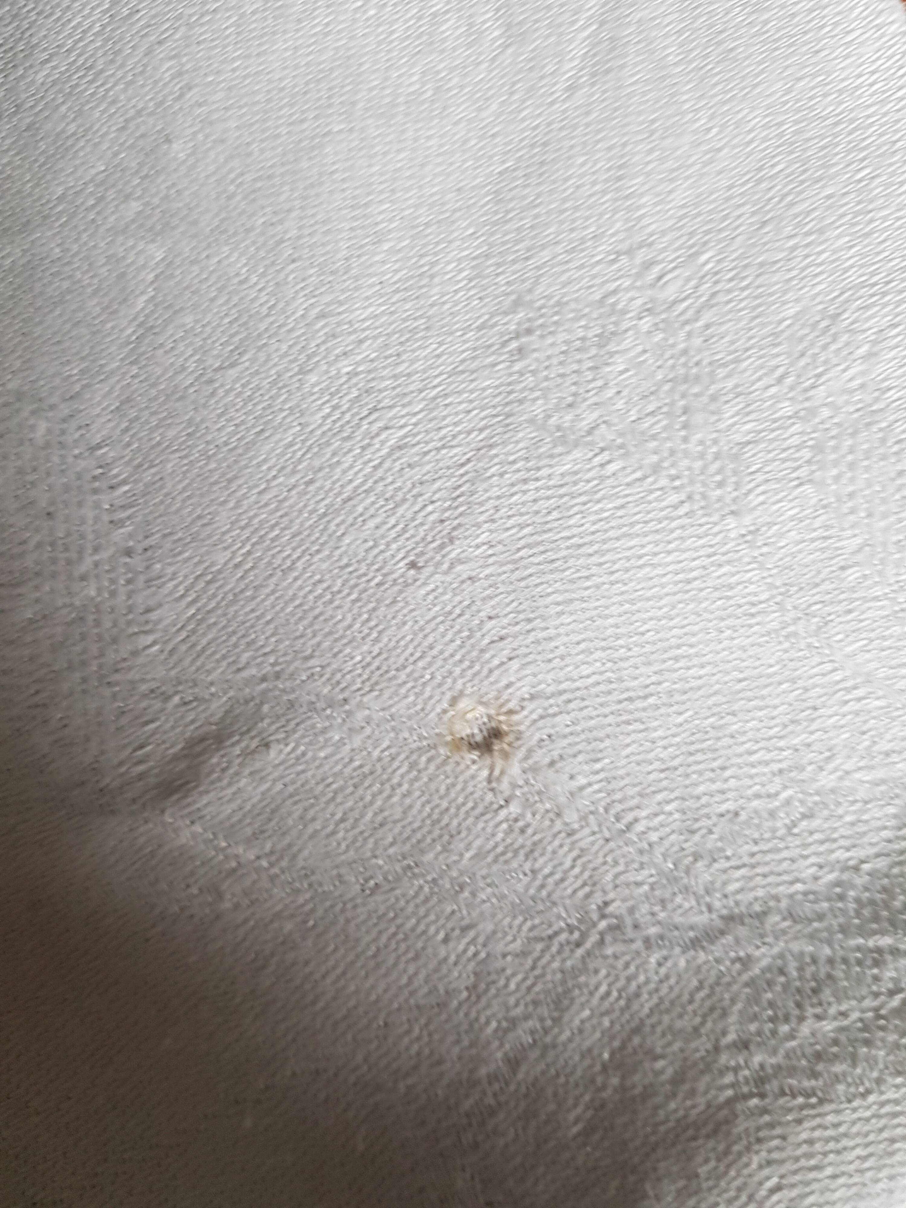 Embroidered antique tablecloth