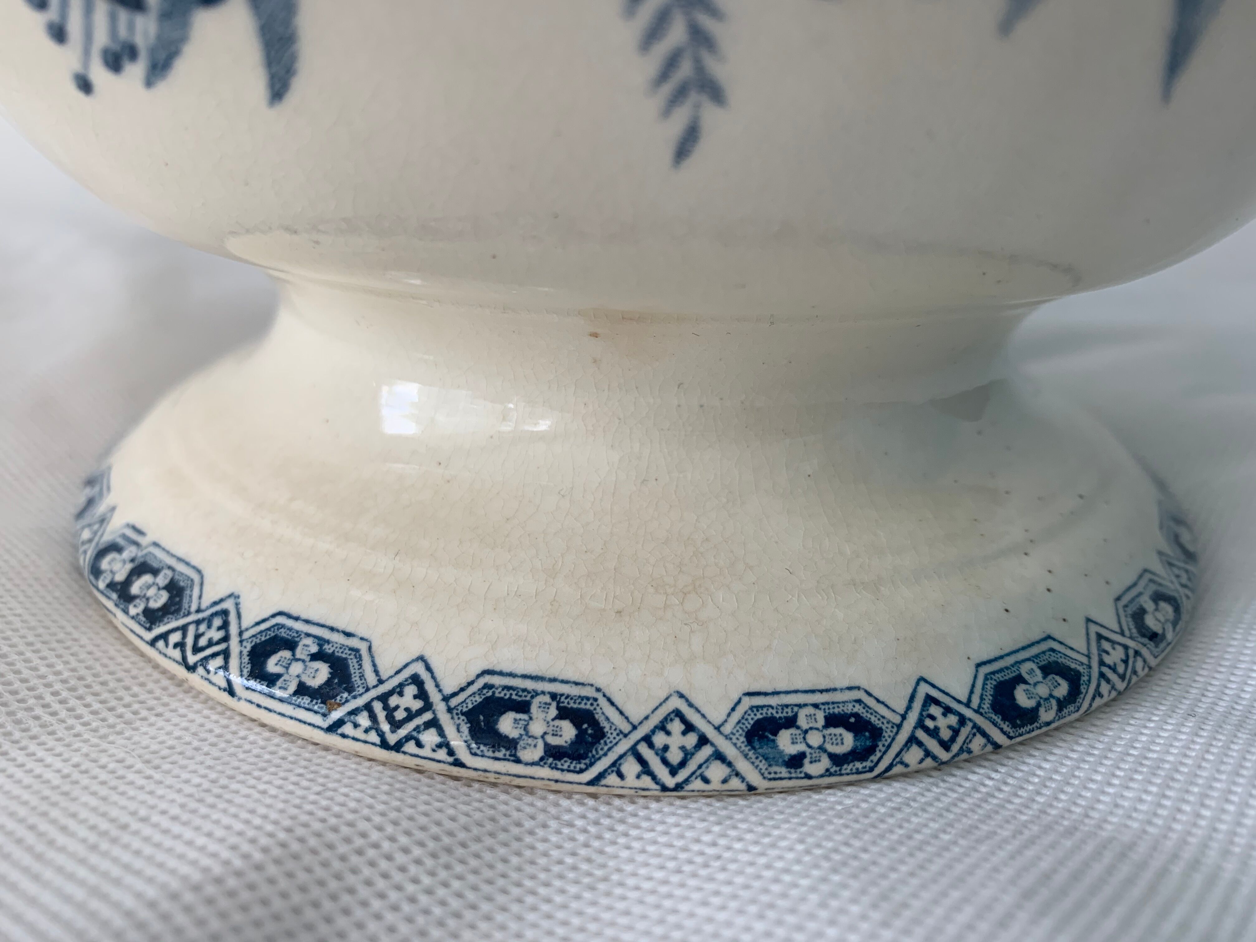 Old blue soup, Terre de Fer, martha model