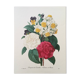 Impression vintage Fleur Bouquet de Camélias