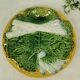 Asparagus plates Iron Earth