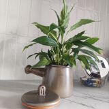 Pot