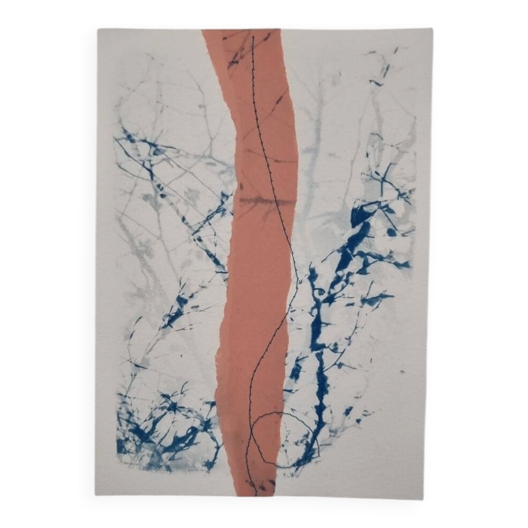 Cyanotype collage