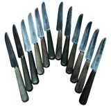 Coffret de 12 couteaux en inox