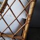 Rattan child bed