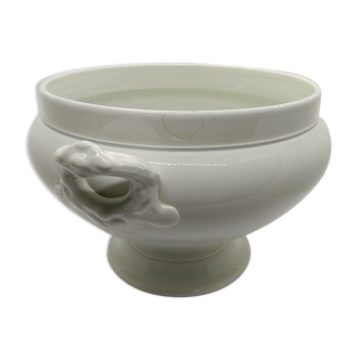 White tureen