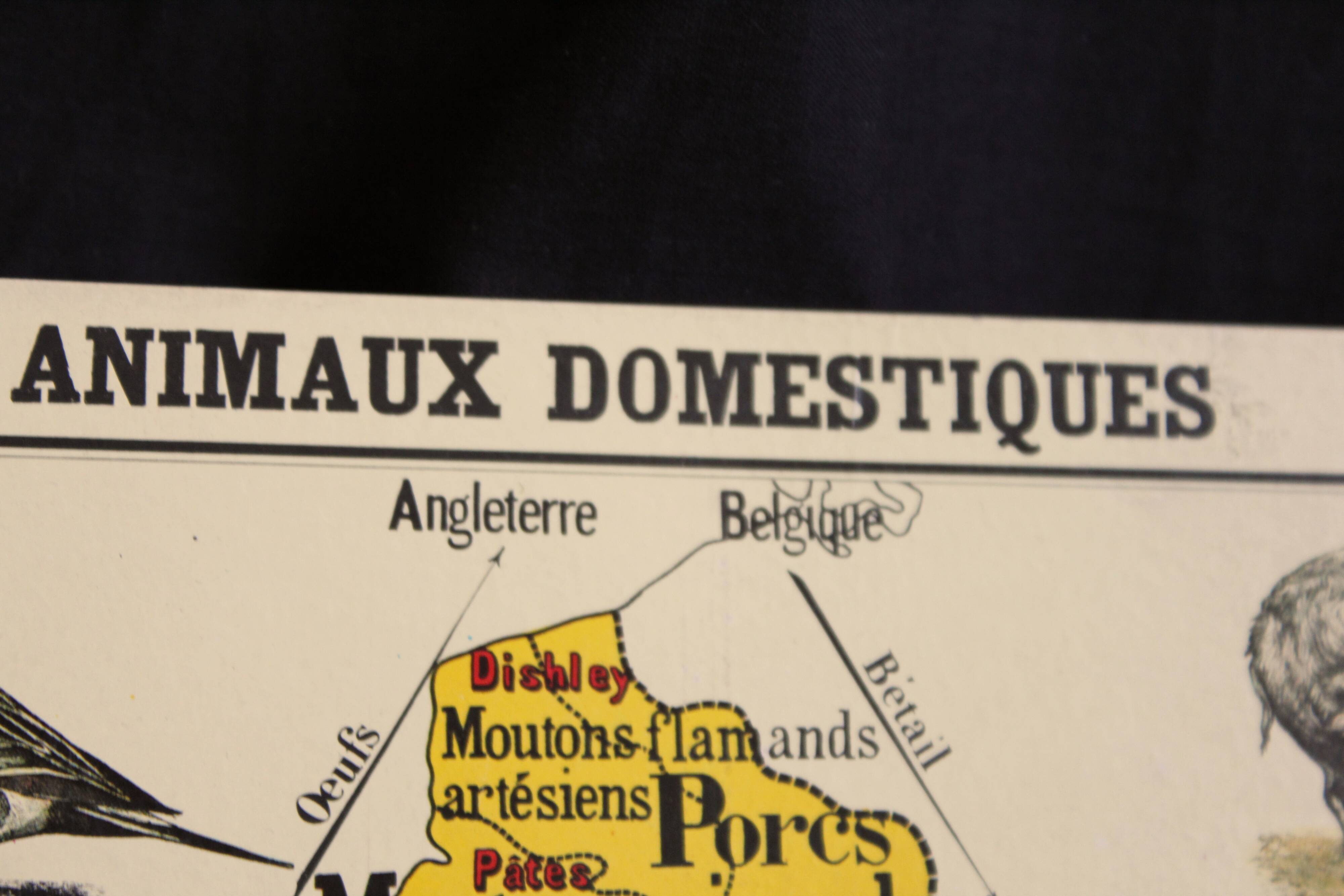 Vintage poster "Domestic animals"