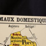 Vintage poster "Domestic animals"