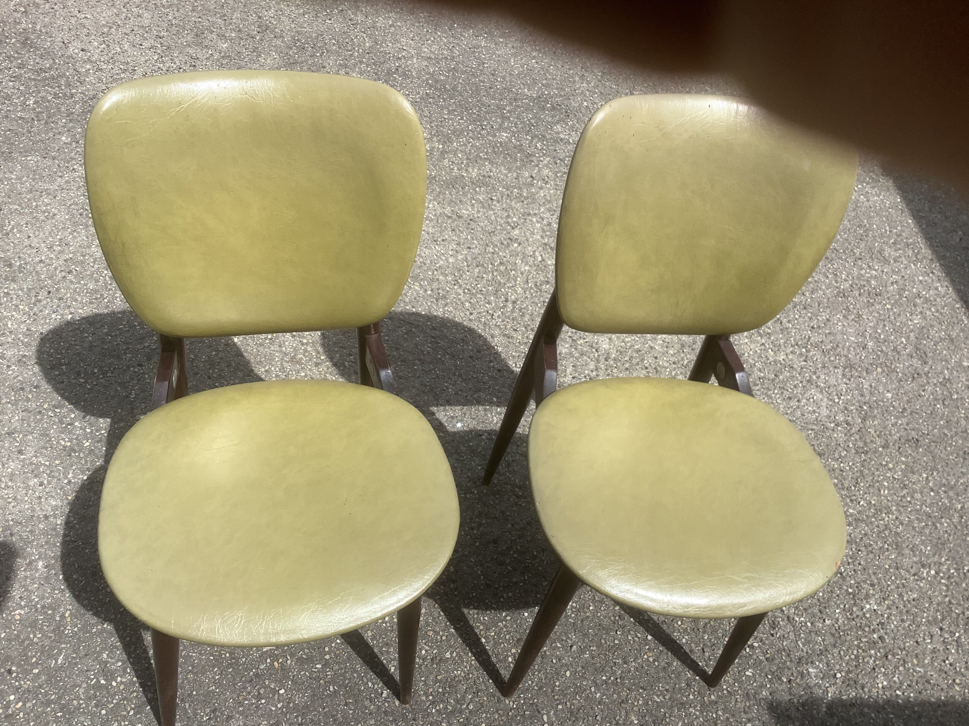 Chairs Pégase Baumann